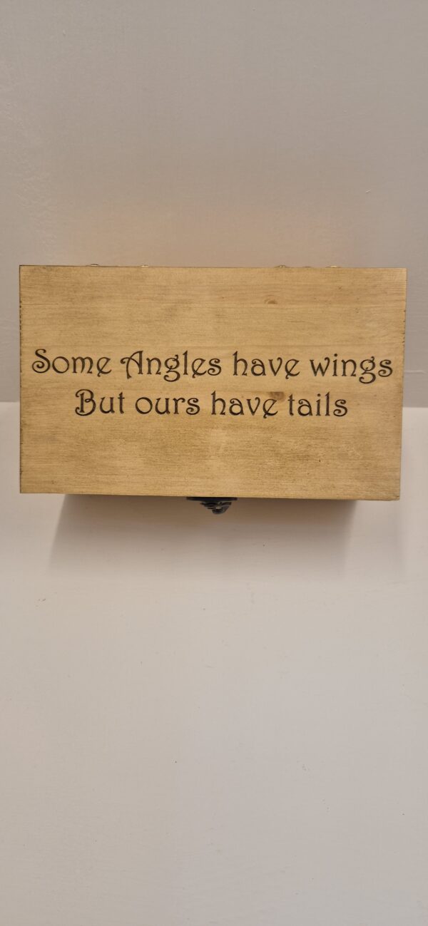 PETS MEMORY BOXES  (Medium) U4412 - Image 5